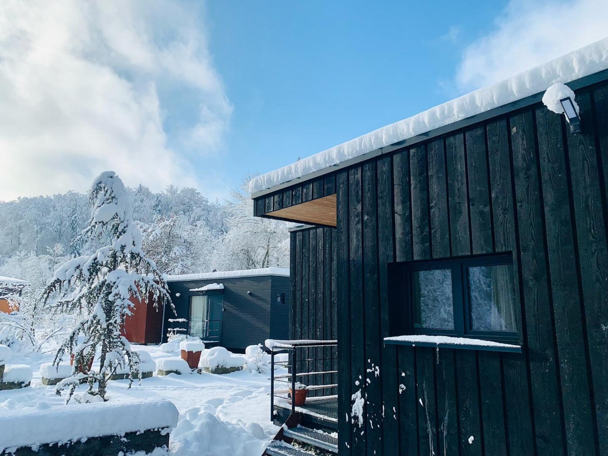 Hjem - Tiny Homes Direkt Am Wald Zwischen Allgaeu & Bodensee Bergatreute Екстериор снимка